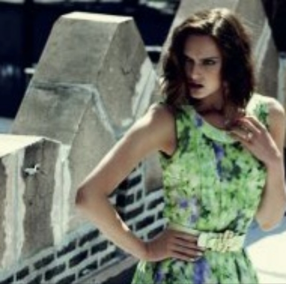 $5,900 NEW OSCAR DE LA RENTA ADOREABLE SILK GREEN IRISES RUNWAY DRESS US 8, 16 - Picture 6 of 16